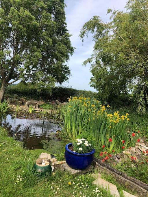 Beautiful Barn Conversion, 3 Bed, Hot Tub, Sauna, Gym, Enclosed Garden 赖德 外观 照片